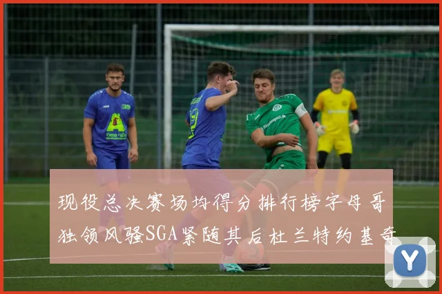现役总决赛场均得分排行榜字母哥独领风骚SGA紧随其后杜兰特约基奇东契奇争夺第三